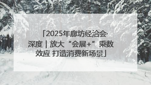 2025年廊坊经洽会·深度｜放大“会展+”乘数效应 打造消费新场景