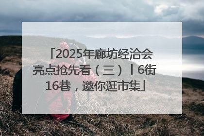 2025年廊坊经洽会亮点抢先看（三）丨6街16巷，邀你逛市集