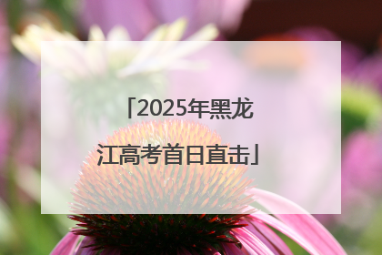 2025年黑龙江高考首日直击
