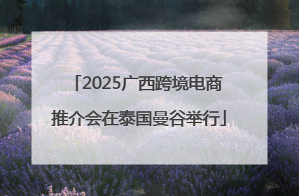 2025广西跨境电商推介会在泰国曼谷举行