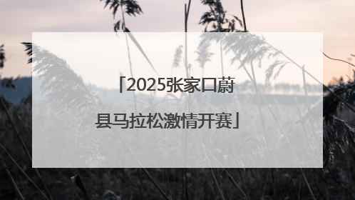 2025张家口蔚县马拉松激情开赛
