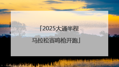 2025大通半程马拉松赛鸣枪开跑