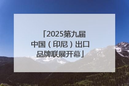 2025第九届中国（印尼）出口品牌联展开幕