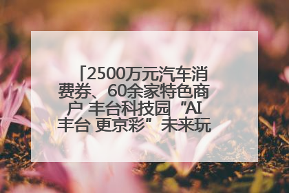 2500万元汽车消费券、60余家特色商户 丰台科技园“AI丰台 更京彩”未来玩家市集活动正式开幕