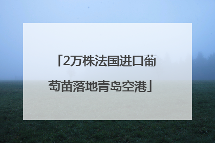2万株法国进口葡萄苗落地青岛空港