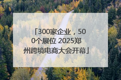 300家企业，500个展位 2025郑州跨境电商大会开幕