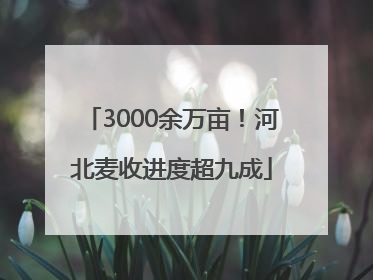 3000余万亩！河北麦收进度超九成