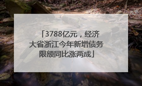 3788亿元，经济大省浙江今年新增债务限额同比涨两成