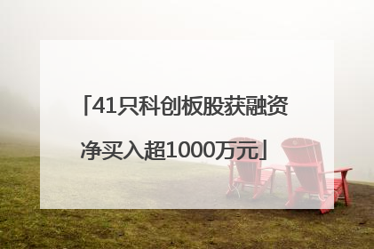 41只科创板股获融资净买入超1000万元