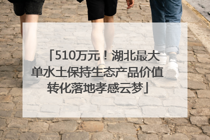 510万元！湖北最大单水土保持生态产品价值转化落地孝感云梦
