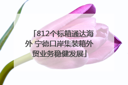 812个标箱通达海外 宁德口岸集装箱外贸业务稳健发展