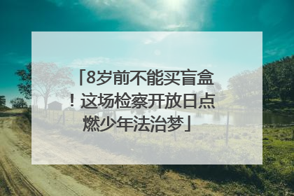 8岁前不能买盲盒！这场检察开放日点燃少年法治梦