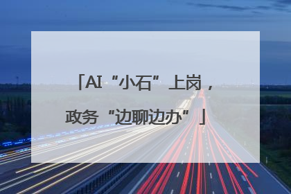 AI“小石”上岗，政务“边聊边办”