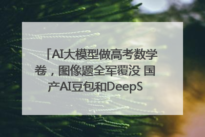 AI大模型做高考数学卷，图像题全军覆没 国产AI豆包和DeepSeek均得分144