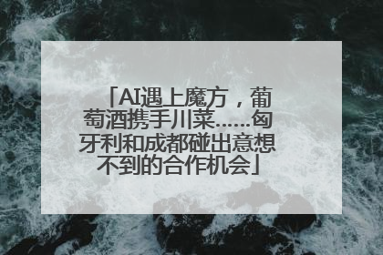 AI遇上魔方，葡萄酒携手川菜……匈牙利和成都碰出意想不到的合作机会