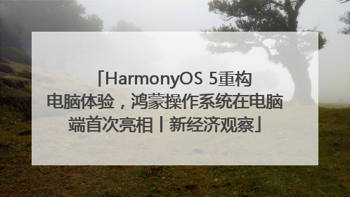HarmonyOS 5重构电脑体验，鸿蒙操作系统在电脑端首次亮相丨新经济观察