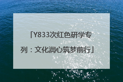 Y833次红色研学专列：文化润心筑梦前行
